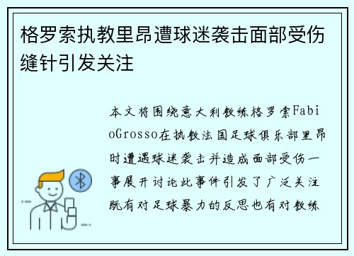 格罗索执教里昂遭球迷袭击面部受伤缝针引发关注 格罗索执教里昂遭球迷袭击面部受伤缝针引发关注
